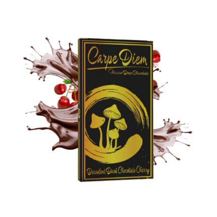 Mushroom Chocolate - Carpe Diem - Sacred Journey