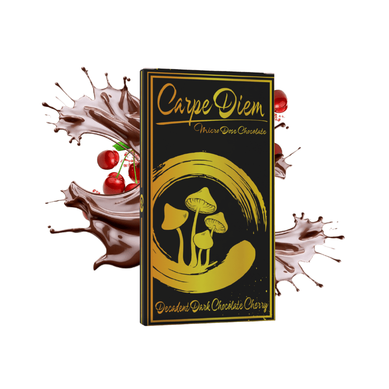 Mushroom Chocolate - Carpe Diem - Sacred Journey