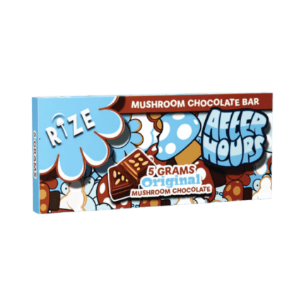 Mushroom Chocolate